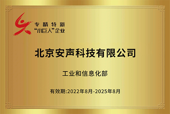 国家专精特新小巨人认证